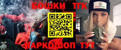 гидропоника Пенза