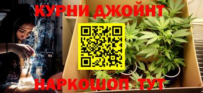 гидропоника Пенза