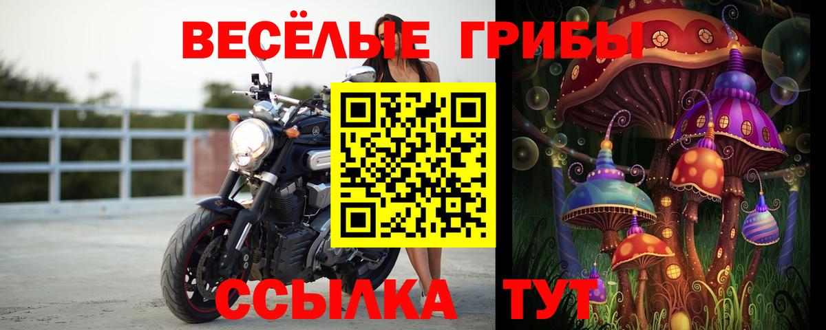 Псилоцибиновые грибы Cubensis  Вход с VPN  Псилоцибиновые грибы мухоморы  Реутов 
